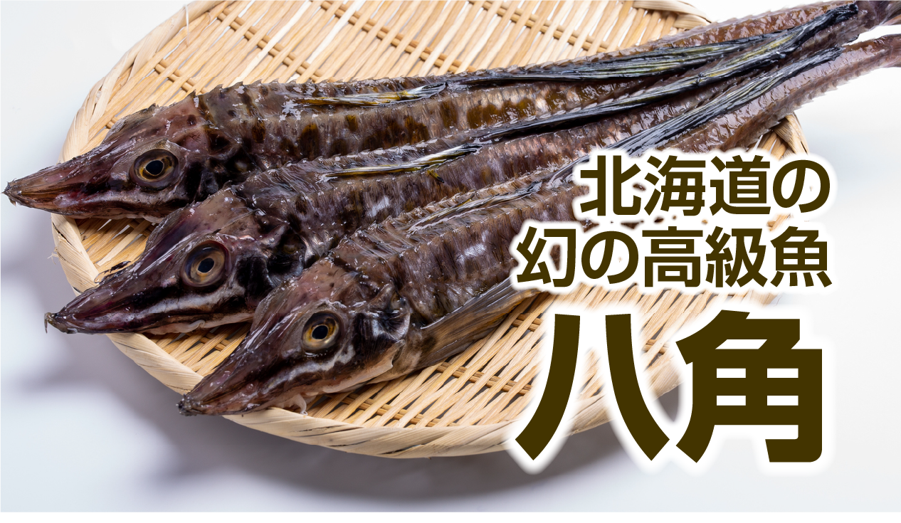 北海道・根室の幻の高級魚「八角」とは？丸仁の「白い海鮮丼」で味わう、北の海の希少な旨み