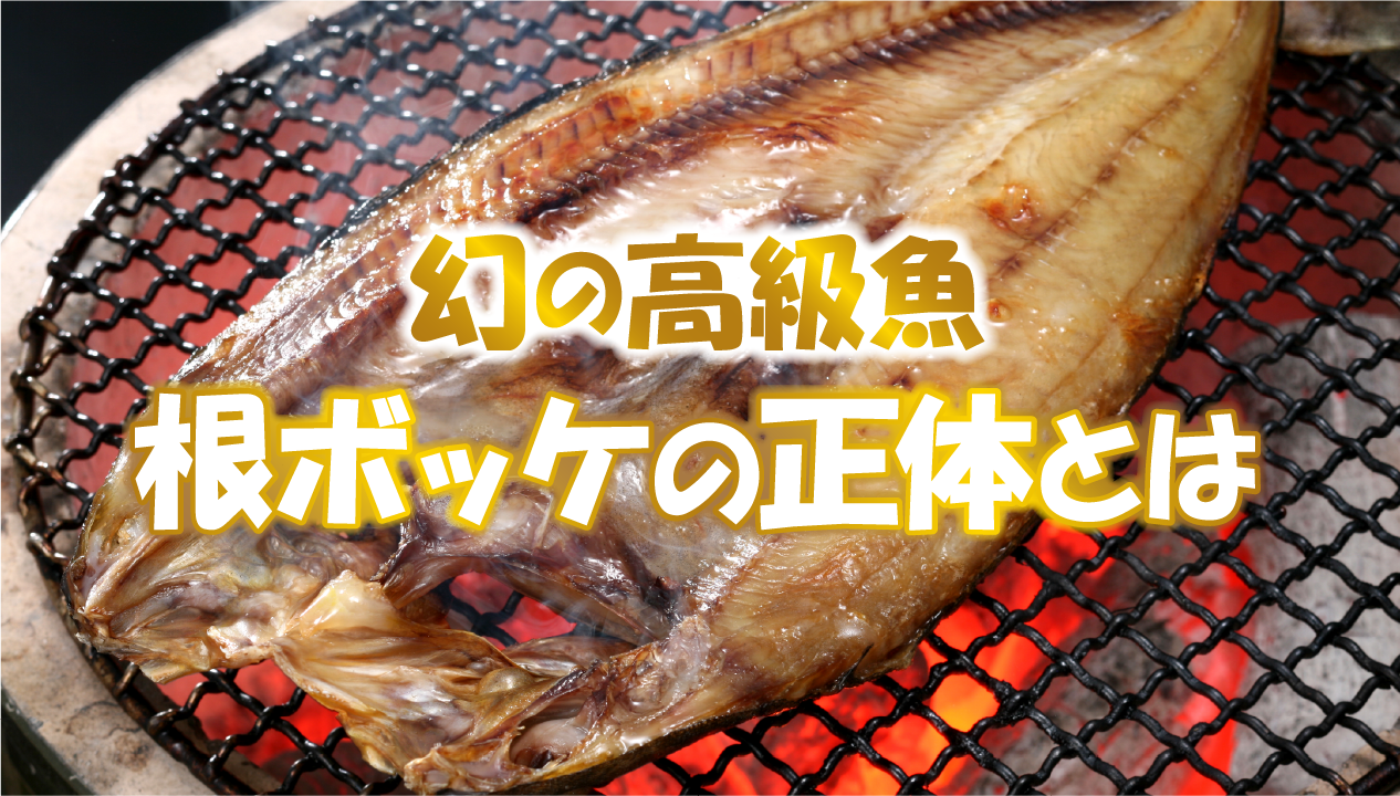 【根ボッケとは】普通のホッケとの違いを徹底比較：味・脂乗り・焼き方まで解説