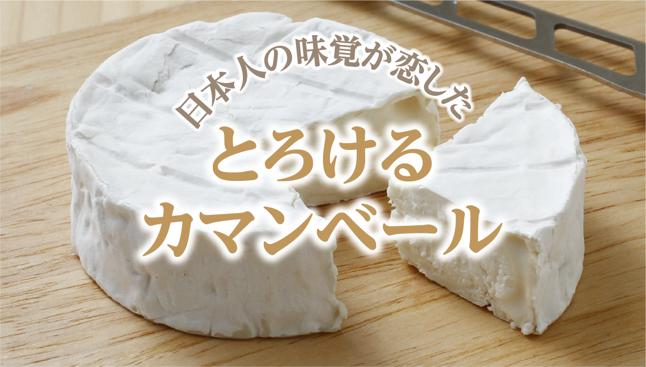 十勝野フロマージュ「おいしいカマンベール」の魅力｜北海道・中札内村の白カビチーズ