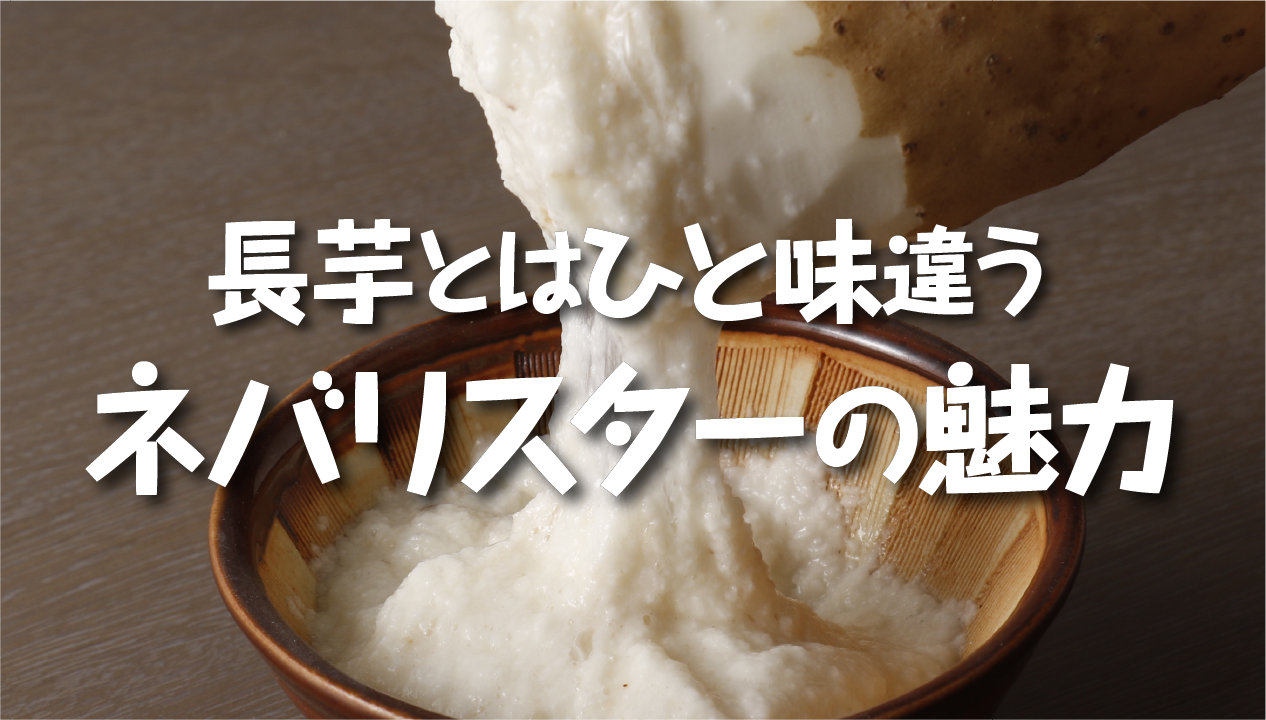 ネバリスターとは？長芋との違いや特徴・おすすめの食べ方を徹底解説