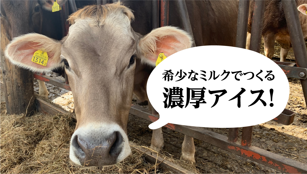 ブラウンスイス牛乳とは？北海道・十勝アルプス牧場の濃厚アイスクリームで味わう希少なミルクの魅力