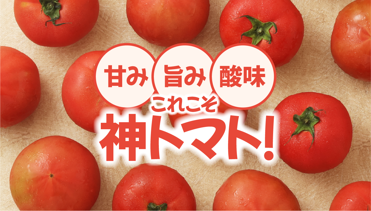 孤高の品種「りんか409」が生む“神”の味。北海道北斗市・白石農園が守り抜く神トマトの魅力
