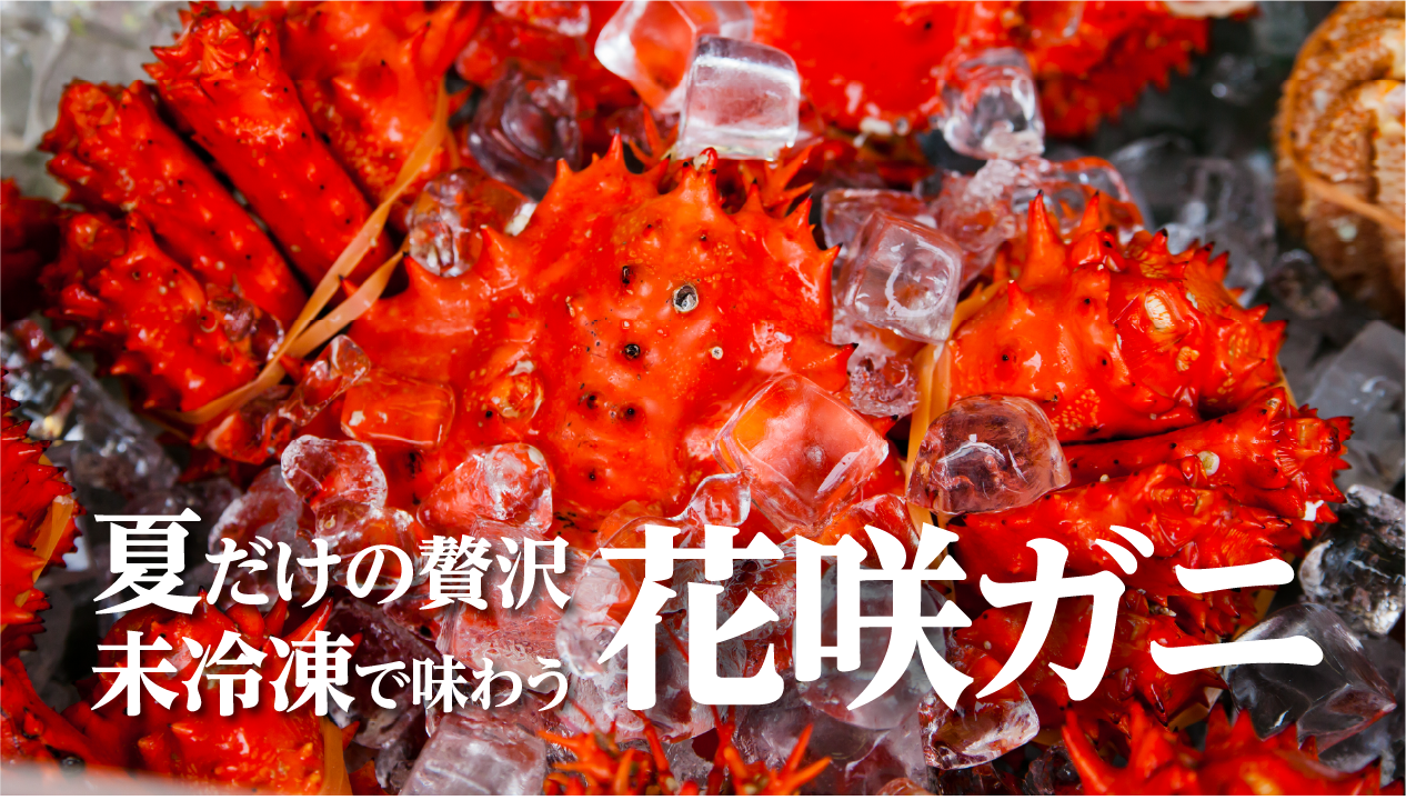 北の夏だけのごちそう。冷蔵・未冷凍の花咲ガニを通販で味わう贅沢