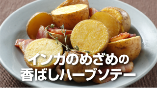 けんぶちVIVAマルシェじゃがいもレシピ