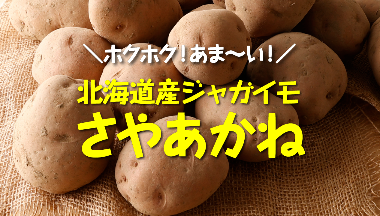 北海道生まれの赤皮じゃがいも「さやあかね」とは？特徴・味・おすすめ料理・通販情報