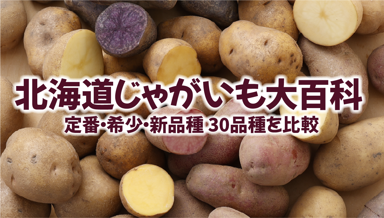 【2026年版】北海道じゃがいも大百科：30品種の違い・料理別の選び方・新品種まで徹底解説