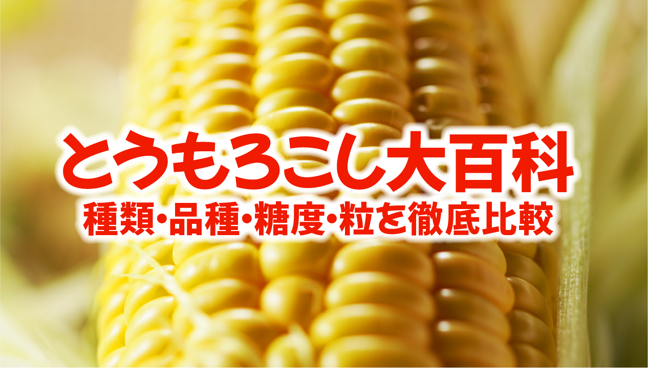 とうもろこしの種類・品種大百科：黄色・白・バイカラーの違い、糖度・粒の大きさまで徹底比較