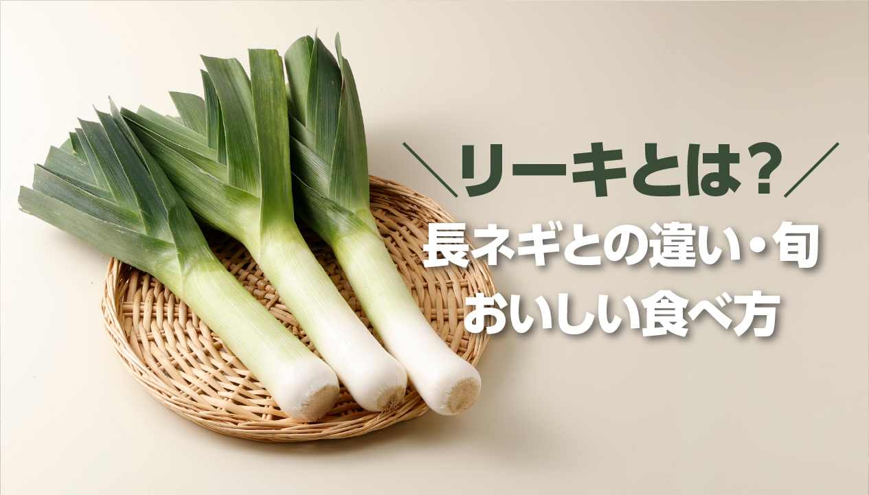 リーキ（ポロネギ）とは？長ネギとの違い・旬・おいしい食べ方：北海道・十勝産も紹介