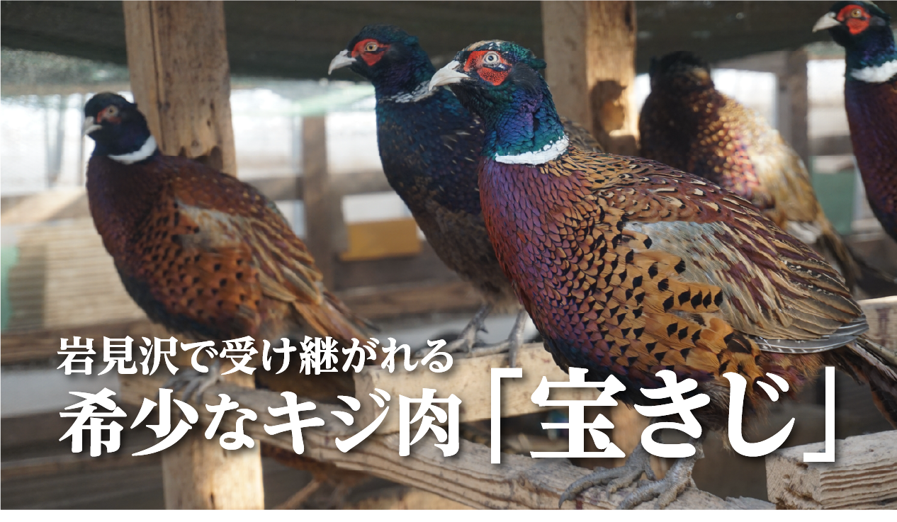 北海道・岩見沢の「宝きじ」とは？キジ肉の味・特徴・食べ方、ここいろの飼育とお取り寄せを紹介