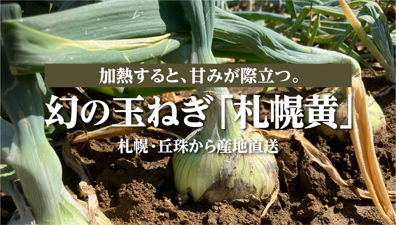 幻の玉ねぎ「札幌黄」とは？特徴・旬・おいしい食べ方：札幌・たまみ農園からお取り寄せ