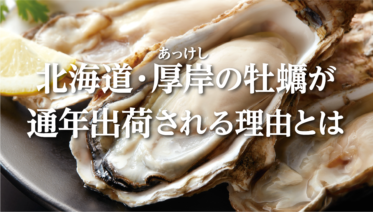 厚岸の牡蠣はなぜ一年中出荷できる？瀬川食品「マルえもん」の特徴・食べ方・お取り寄せ