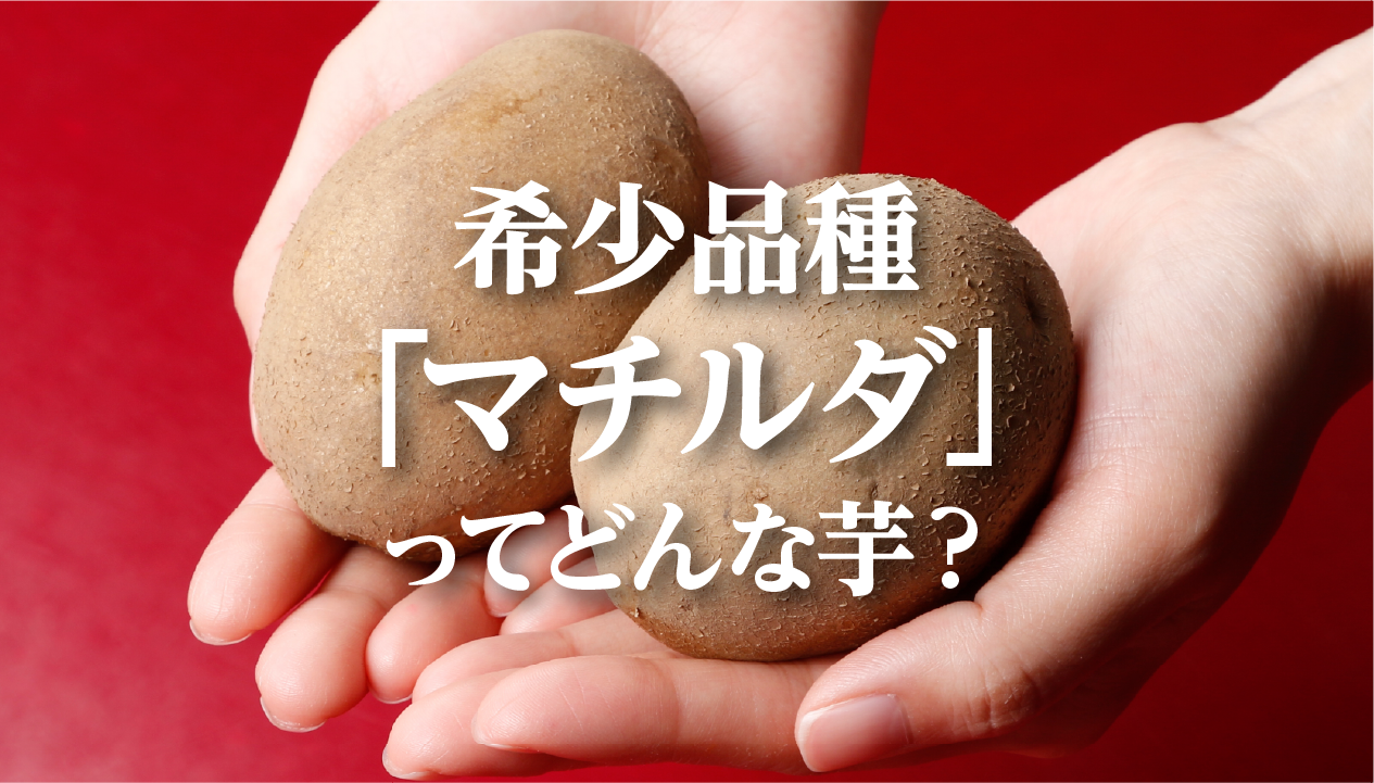 じゃがいも「マチルダ」とは？特徴・味・おすすめ料理：北海道・芽室産を数量限定でお取り寄せ